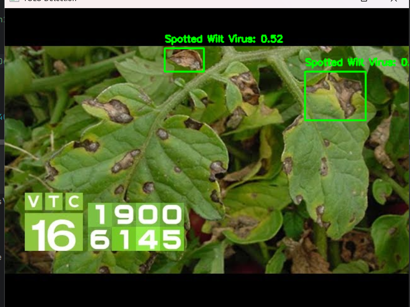Cuộc sáp nhập lịch sử vào ngày 1/7/2025 